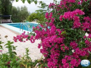 un arbusto de flores rosas junto a una piscina en Casa Rural Mi Campo, en Fenazar