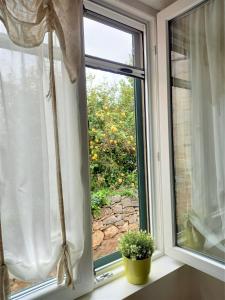 Zahrada ubytování Apartment Megi in Supetar historical core