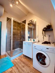 a washing machine in a bathroom with a shower at Under Roof in Clermont-Ferrand