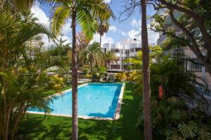 uma piscina com palmeiras em frente a um edifício em Hotel Colon Rambla em Santa Cruz de Tenerife