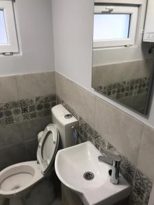 uma casa de banho com um WC, um lavatório e um espelho. em Dunasor1 Apartman em Dömsöd