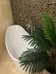 La salle de bains est pourvue d'une baignoire blanche et d'une plante. dans l'établissement Apartament Sweet Luxury, à Galaţi