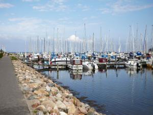 Un montón de barcos atracados en un puerto deportivo en 5 person holiday home on a holiday park in Bogense en Bogense