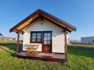 a tiny house in a field with two chairs at Roza Vânturilor in Socea