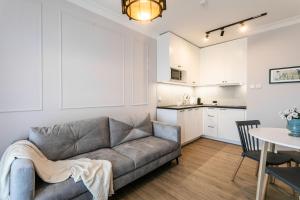 Svetainės erdvė apgyvendinimo įstaigoje Papillon Apartamenty Gdańsk