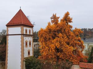 Przyroda w pobliżu tego hotelu