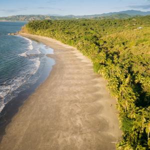 z powietrza widok na plażę z drzewami i ocean w obiekcie Punta Duarte Garden Inn w mieście Los Duarte