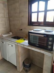 eine Küche mit einer Spüle und einer Mikrowelle auf der Theke in der Unterkunft Los Patos in Chumillo