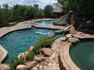 una piscina en un patio trasero con un tronco en el agua en Mabalingwe Elephant Lodge 267-7 & 267-8, en Mabula