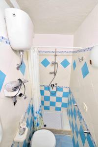 a blue and white bathroom with a toilet and a shower at SOLEMAREPONZA Casa Bougainvillea in Ponza +29 photos