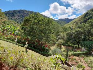 two birds standing in a garden with mountains in the background at Sitio Recanto Suave in Domingos Martins
