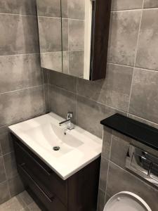 a bathroom with a sink and a toilet at Beautiful 2 Bedroom Ballsbridge Apartment near the Aviva in Dublin
