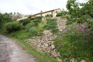 Zahrada ubytování B&B Salvarosa