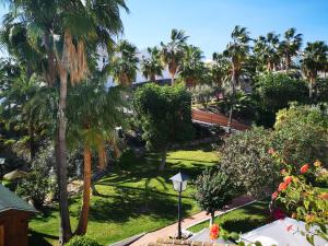 an aerial view of a park with palm trees at El Capistrano in Nerja
