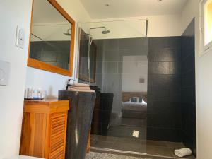 uma casa de banho com um chuveiro, um lavatório e um espelho. em Hotel Alexandra - Boutique Hotel em Juan-les-Pins