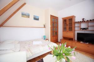 Телевизор и/или развлекательный центр в Oleksandra Protsenko "Oleńka" Willa Asieńka