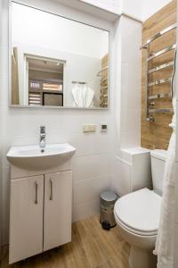 ein Badezimmer mit einem Waschbecken, einem WC und einem Spiegel in der Unterkunft Rynok Square Apartments in Lwiw