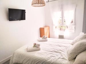 Fotografie z fotogalerie ubytování CORAZON DE GASCONA v destinaci Oviedo