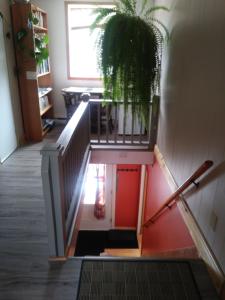 住宿加早餐旅馆内部图书馆