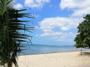 einen Strand mit einer Palme und dem Meer in der Unterkunft La Frezza Beach House in Bayawan