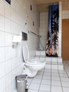 a bathroom with a toilet and a shower curtain at Ferienwohnung in Erftstadt in Erftstadt
