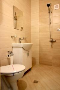a bathroom with a toilet and a sink and a shower at Къща за гости Тони in Zlatograd