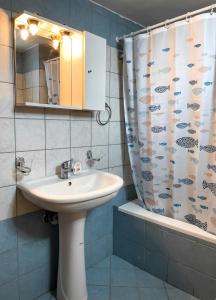 Theros Apartment Preveza tesisinde bir banyo