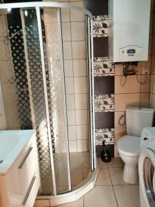 a bathroom with a shower with a toilet and a sink at Apartament Wiosenna in Malbork