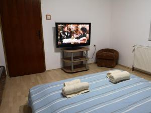 1 dormitorio con 1 cama, TV y toallas en Apartmani Stanikić en Kostol