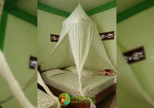 Tempat tidur dalam kamar di Rain Forest Guest House