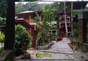 Gallery image of Rain Forest Guest House and Jungle Trekking in Bukit Lawang +75 photos