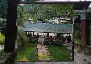 Gallery image of Rain Forest Guest House and Jungle Trekking in Bukit Lawang