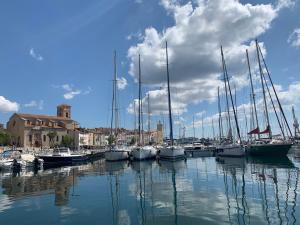 een groep boten aangemeerd in een haven bij Le Saint Loup (terrasse et parking) in La Ciotat