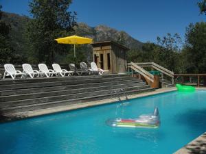 una piscina con uno squalo gonfiabile in acqua di Cabañas Las Cabras a Las Trancas
