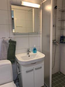 a bathroom with a sink and a toilet and a mirror at Cosy apartment in the city center in Kemi