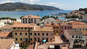 an aerial view of a town with the water at Bilocali ALTAMAREA - zona mare con clima e terrazze in Marina di Campo