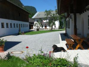 a dog laying on the ground next to a building at Kilianhof in Berchtesgaden