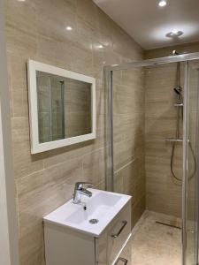 ein Bad mit einem Waschbecken und einer Dusche in der Unterkunft L’ÉMERAUDE 3 in Châlons-en-Champagne