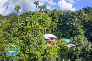 una vista aerea di una casa nella giungla di Cocoa Cottage a Roseau