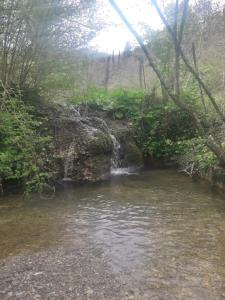 Fotografie z fotogalerie ubytování B&B la casa di fuori porta v destinaci Gricignano