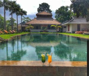 two birds sitting on the edge of a swimming pool at Khla Lodge in Kampot