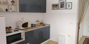 a small kitchen with a microwave and a sink at TEA Apartmani in Bajina Bašta