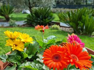 un grupo de flores de colores en un jardín en Il Casale nel Parco Guesthouse en Roma
