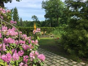 einen Garten mit rosa Blumen und einer Bank in der Unterkunft Ferienwohnung Sonnengelb in Schwielowsee