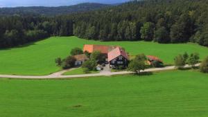 an aerial view of a house in a green field at Ferienwohnung Teufelsbauer in Rimbach