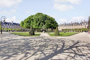 a shadow of a tree on a street in front of a building at CMG - Place des Vosges in Paris