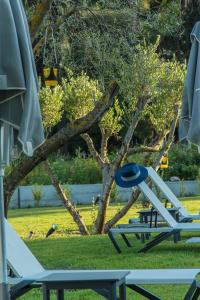 Fotografie z fotogalerie ubytování Sani More v destinaci Sani Beach