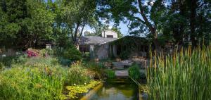 ヨハネスブルグにあるShepherd's Corner Guest Houseの花の池と家庭のある庭園