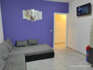 Televízia a/alebo spoločenská miestnosť v ubytovaní Apartmani QUATTRO