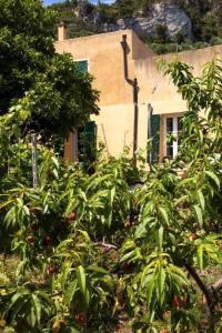 Giardino di agriturismo la selva